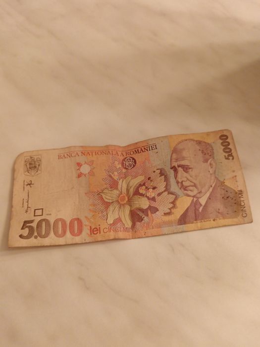 Bagnota 5000 lei
