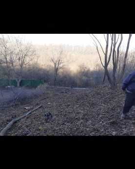 Парцел в с. Руен!