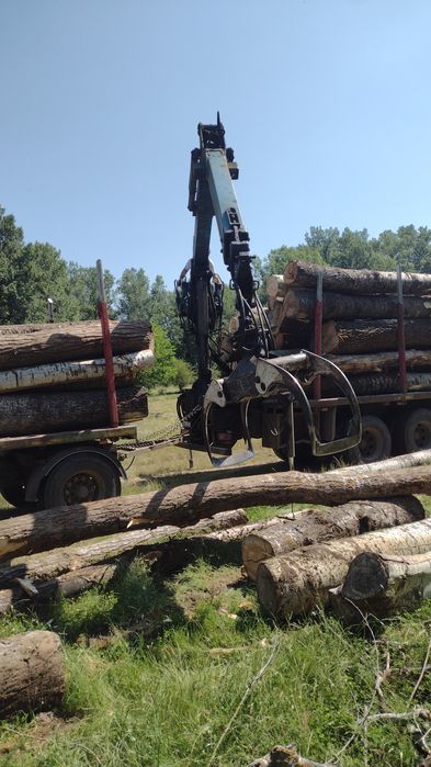 Lemne de foc, buștean
