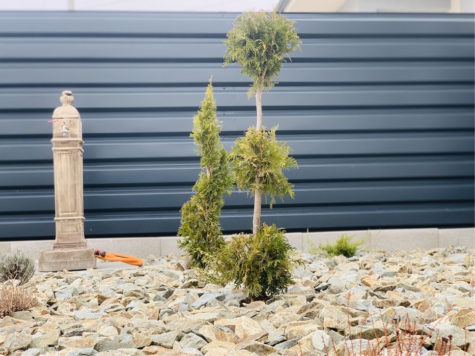 Gard din tabla T35 – model orizontal culoare mat sau lucios