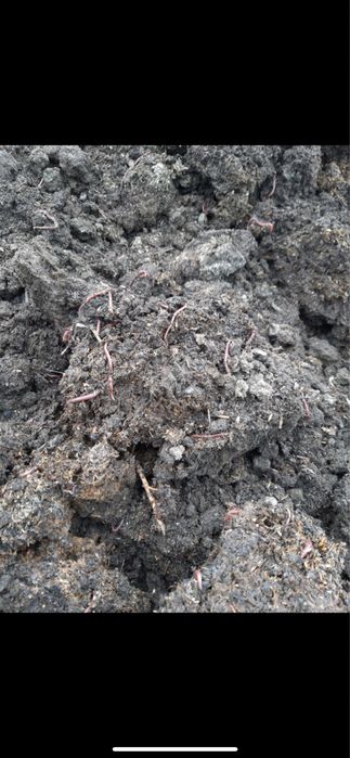 Beogumus  Биогумус