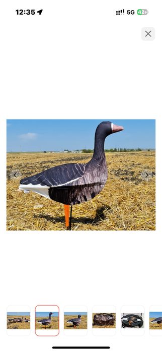 Чучела профиля гусей