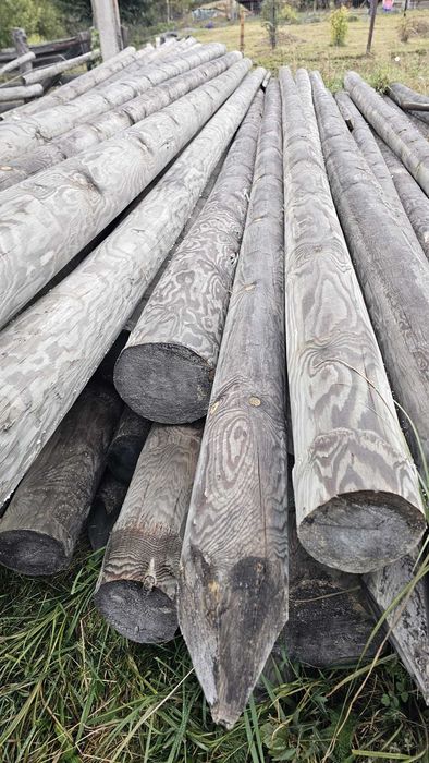 Stalpi de lemn pentru retele electrice telecomunicatii constructii lemn stalpi impregnati ecologic