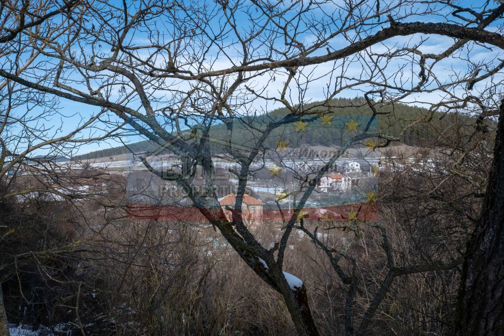 Къща с двор - 4177 м2 в с. Бабица