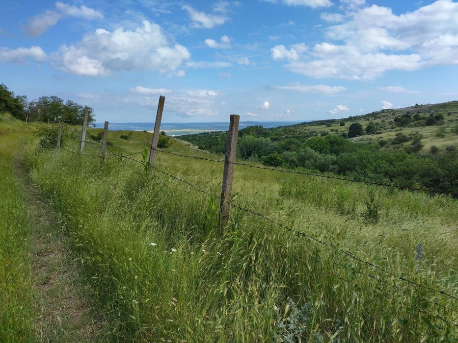 » Парцел във Варна област » с.Калиманци »