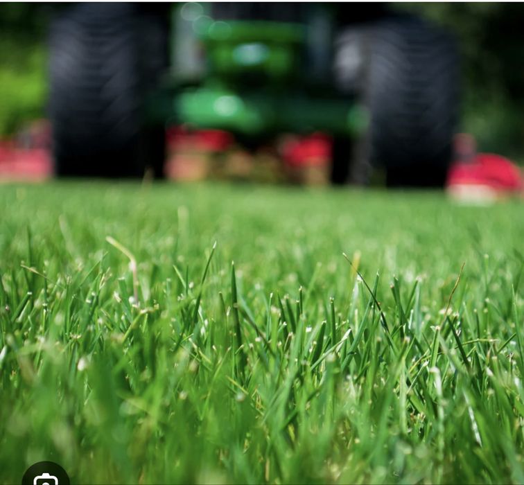 Gazon rulou livrat direct la tine - Verde instant in gradina