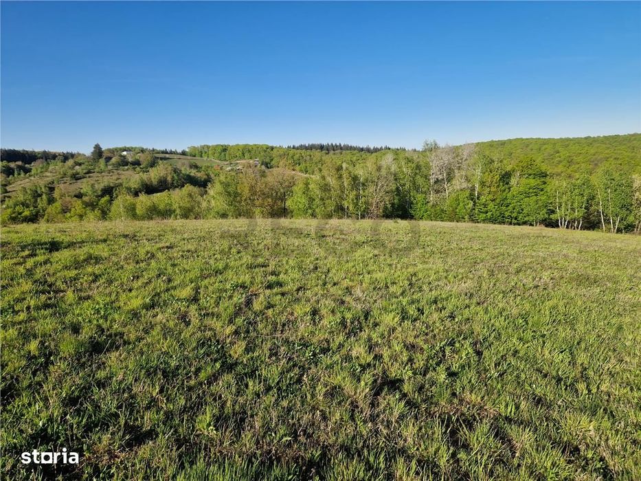 RECO, teren intravilan, Zona Sinteu, Bihor