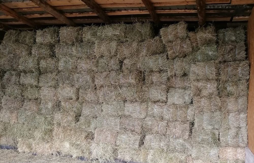 Vând baloti  lucernă,otava