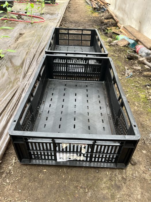 Lazi ladite plastic pentru depozitare sau transport