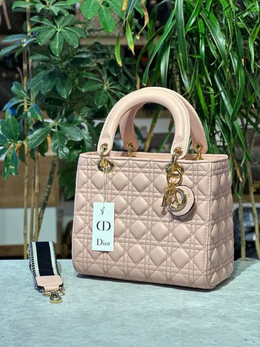 Geanta Dior noua !!! Dimensiuni 25/20 !!!