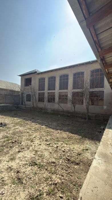 Янги ховли 8 сутик 60 фоиз битган