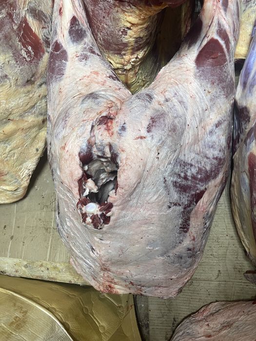 Мясо молодняк говядины