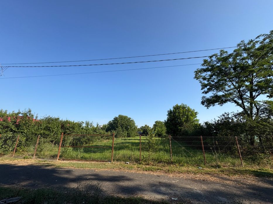 Teren intravilan - Mîșcuneștii Mari, Ilfov