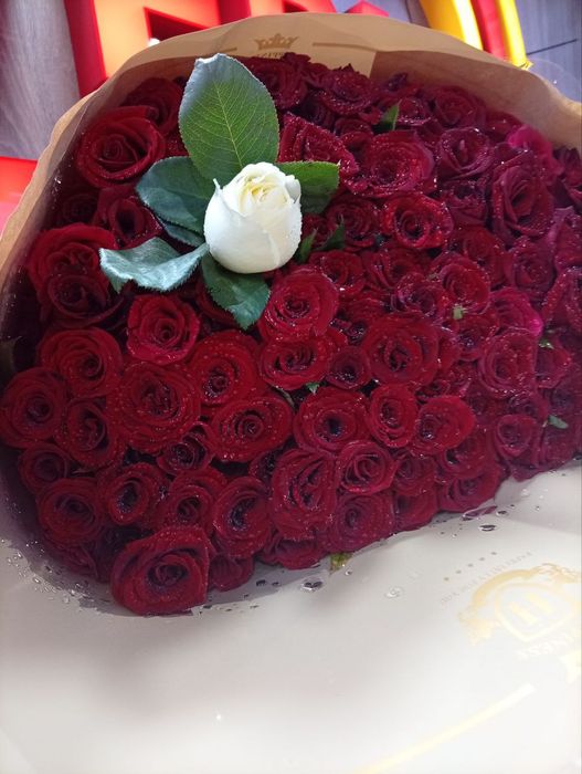 Доставка цветов Роз по Ташкенту.