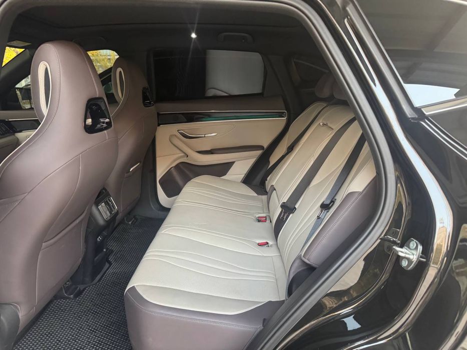 BYD Champion Gibrid 150 km (Full)