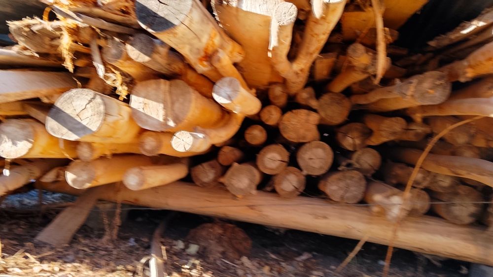 Балка, дранка, рейка, ағаштар сатылады