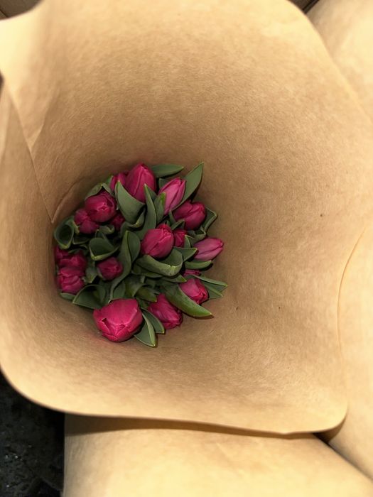 Тюльпаны оптом Голландские