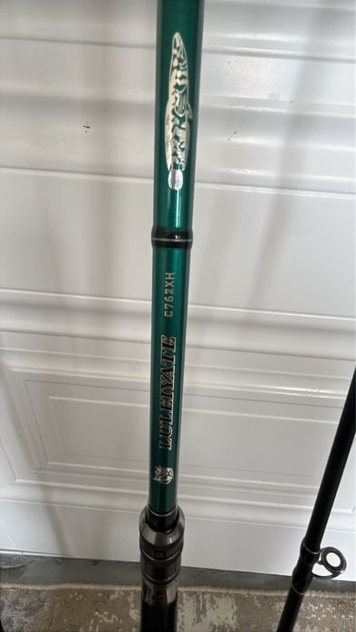 Спиннинги для ловли змееголова