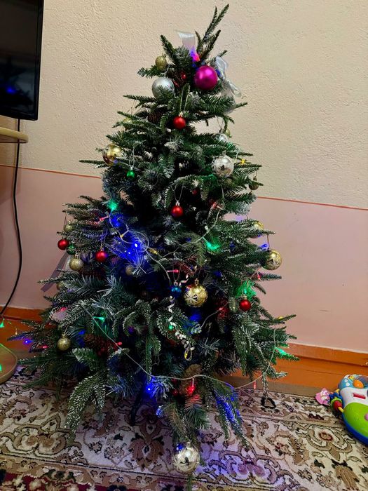 Ёлка. Шырша. Шымкент. Сайрам