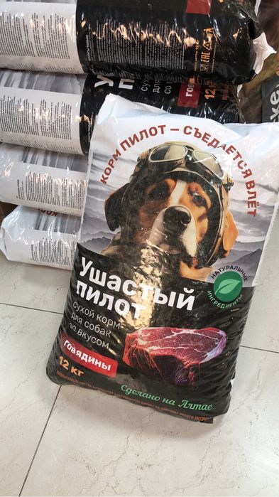 Сухой корм для собак