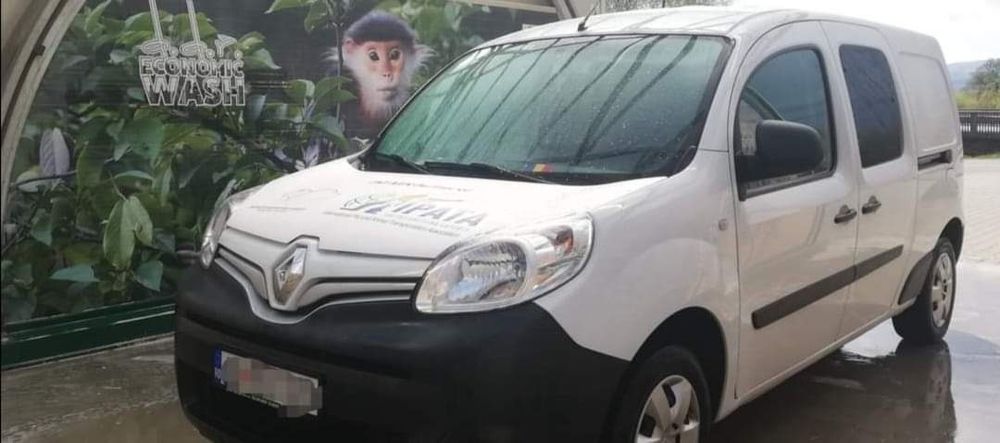 Transport câini și pisici. Transport persoane cu animalul de companie