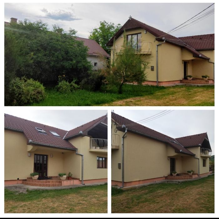 Proprietate 2 case + 1 ha teren Șintereag