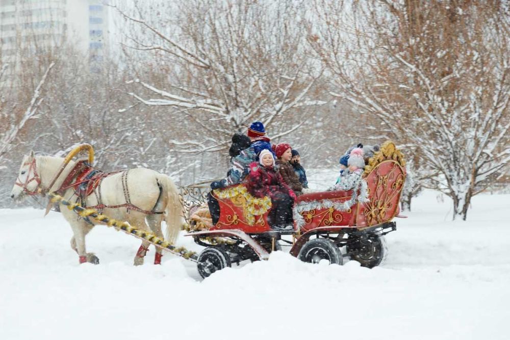 Дед Мороз и Снегурочка