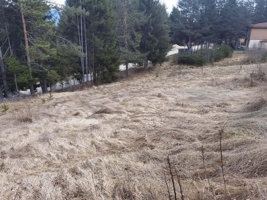 Продава се Земеделски имот в Сърница -  кв.м за 45 €/дка - Снимка #1