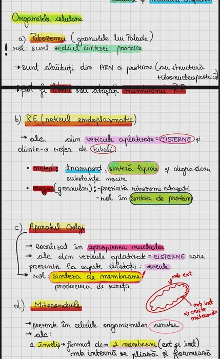 Meditatii Biologie Bac/Admitere Barrons