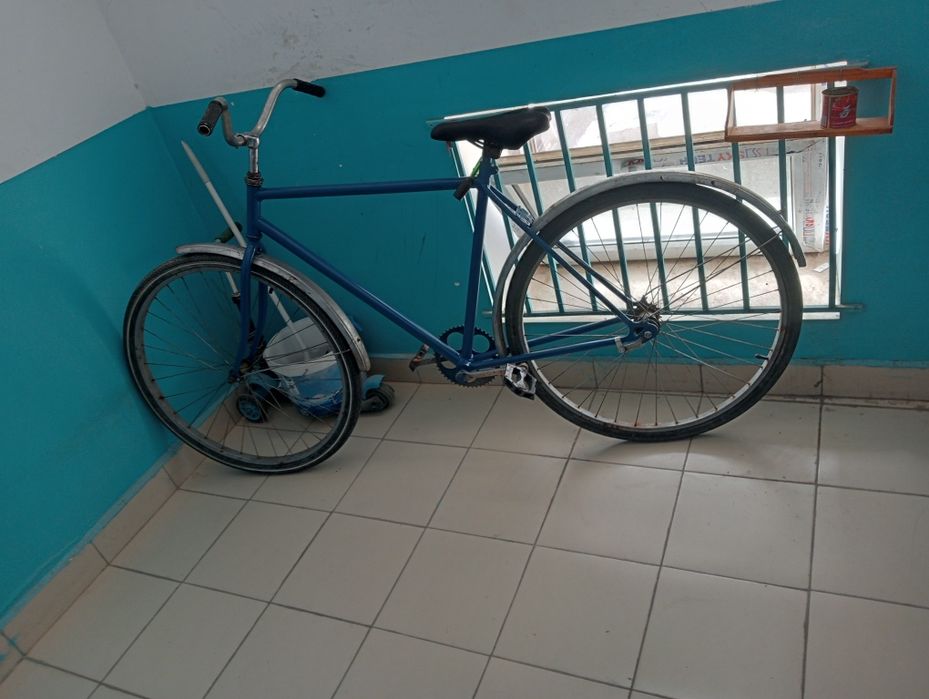 Велик 30 сын саубасы бар