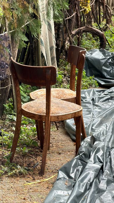 Scaun de masă (stil Thonet)+ taburet inflorat
