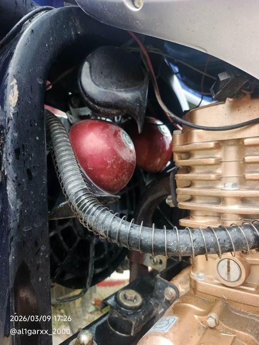 Lochin 2024 yil holati yaxshi