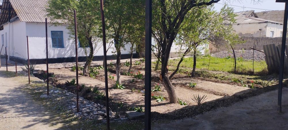 Sirdaryo Shaxar uy sotladi