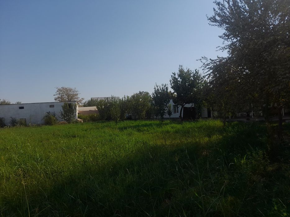 Termiz shahar namuna 1 brigada bobur