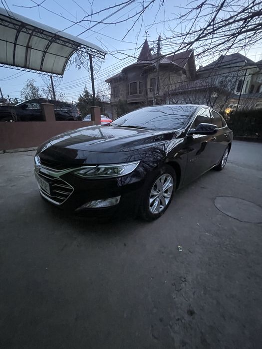 Malibu primer 2022 ful