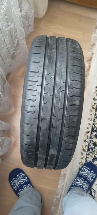 Continental EccoContact 5