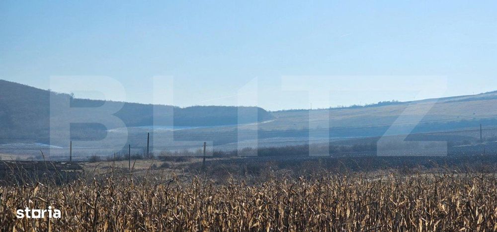 Oportunitate: 50 Ha de Teren Ideal pentru Agricultura sau Parc Fotovol