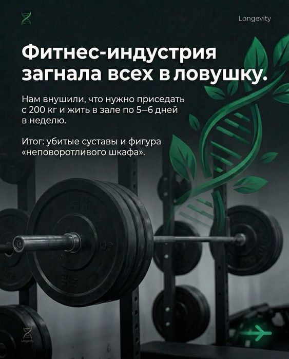 Тренировки + Питание + SPA. Система RE:BODY для занятых мужчин