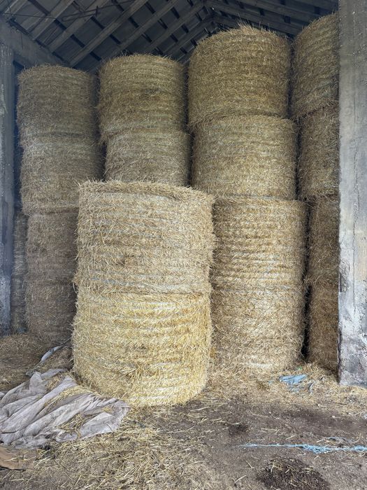 ролони бали слама