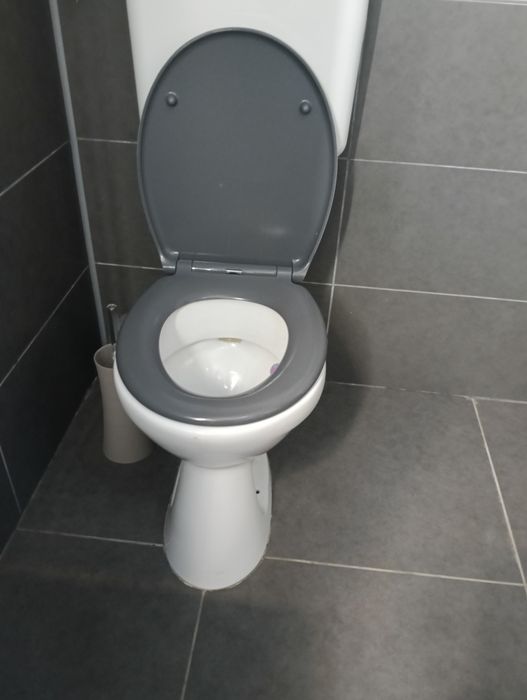 Wc cu rezervor oferta