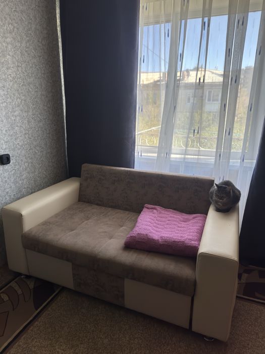 Продам диван.Кот в подарок не идет!!!