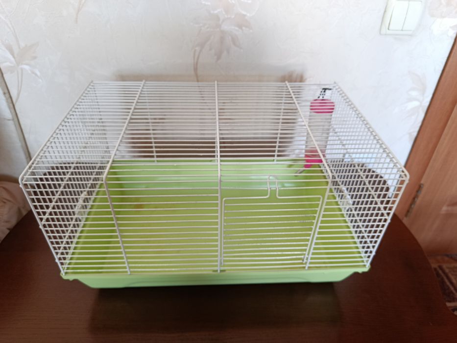 Клетки для грызунов