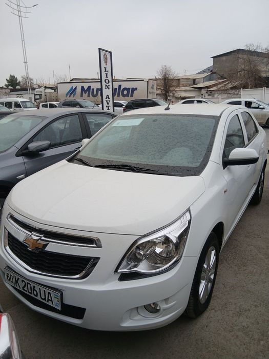 Кобальт 2023 йил 4-поз