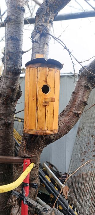 Скворечник для мелких птиц