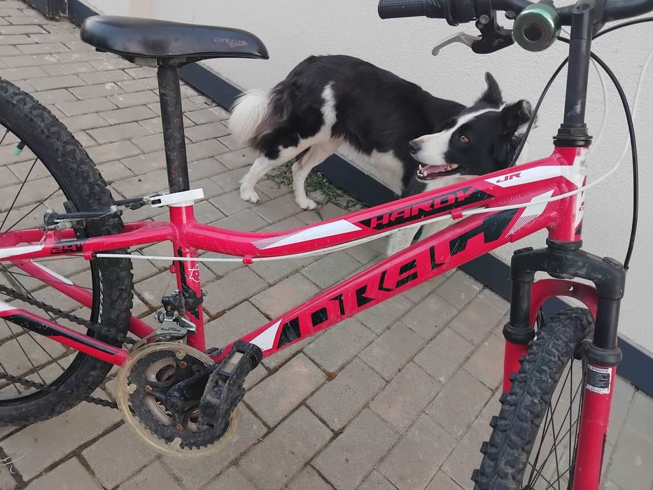 Детско колело,изгодно