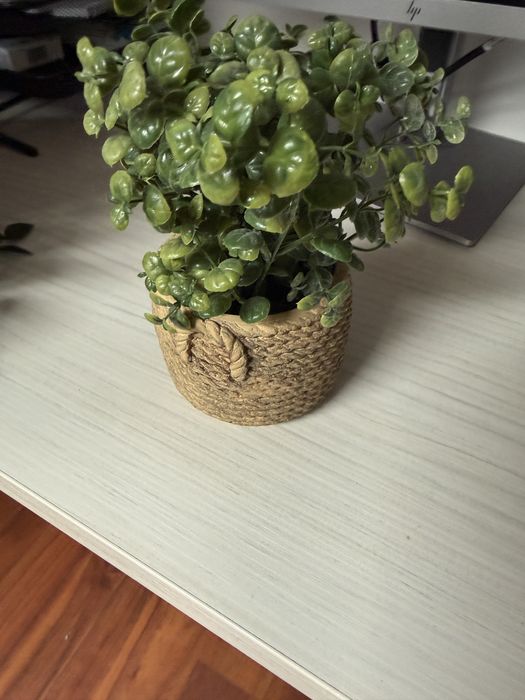 Set 13 plante artificiale