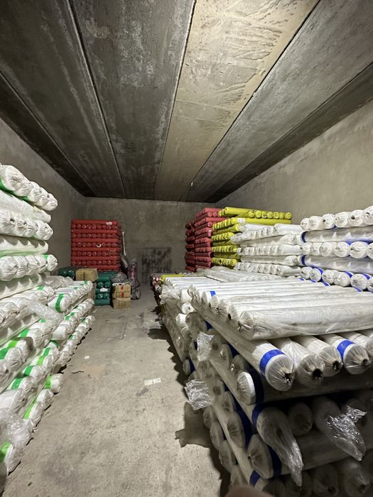 Арбузный клионка