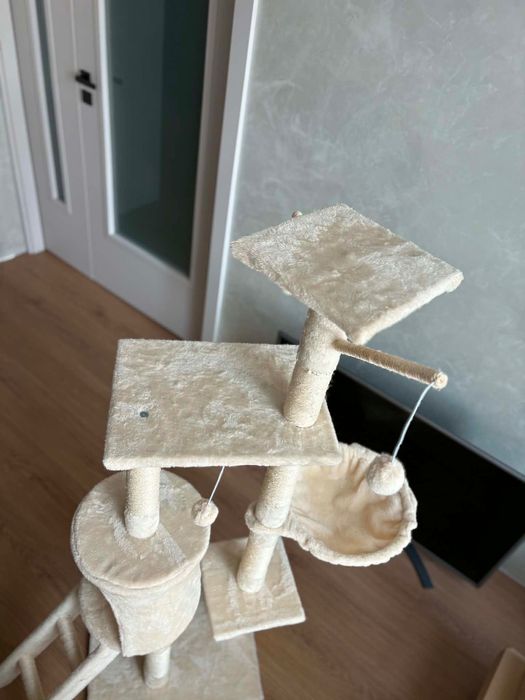 Котешка катерушка