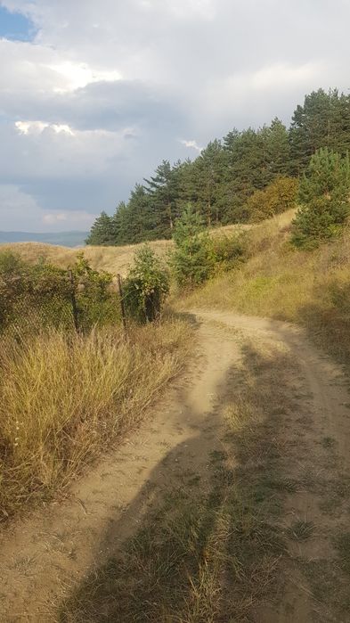 Продава се Парцел в Сапарева баня - 2200 кв.м за 21 €/кв.м - Снимка #3