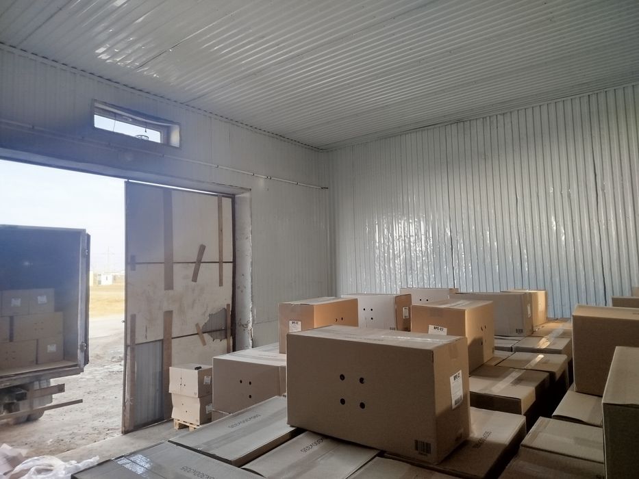 Яйцо всех категорий